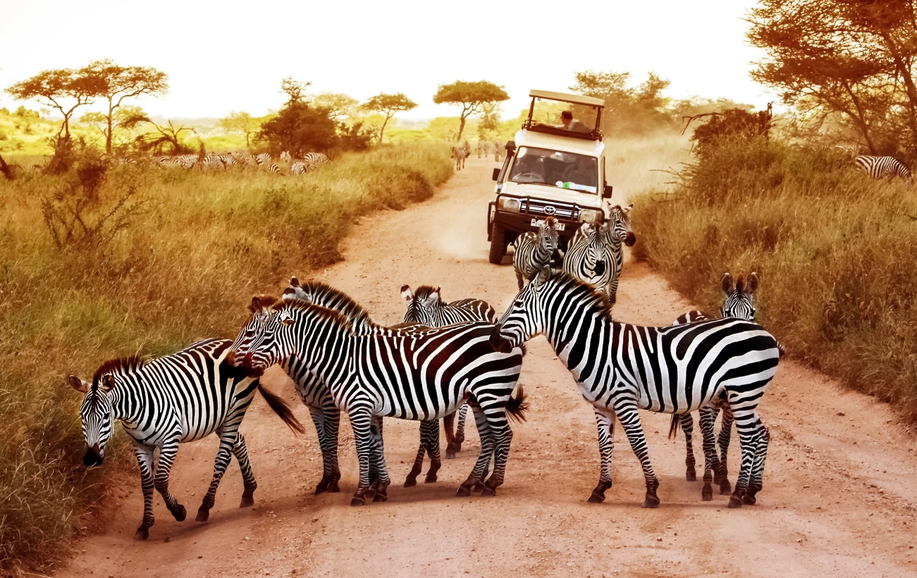 5 Days Tanzania Sharing Safari